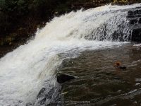 WHITAKER FALLS STATE PARK LEWIS COUNTY NORTHERN NEW YORK 10-18-2014_00027.JPG