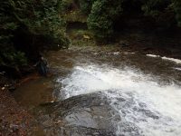 WHITAKER FALLS STATE PARK LEWIS COUNTY NORTHERN NEW YORK 10-18-2014_00032.JPG
