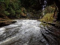 WHITAKER FALLS STATE PARK LEWIS COUNTY NORTHERN NEW YORK 10-18-2014_00036.JPG