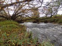 MILKHOUSE FALLS LEWIS COUNTY NORTHERN NEW YORK 10-18-2014_00004.JPG