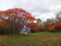 MILKHOUSE FALLS LEWIS COUNTY NORTHERN NEW YORK 10-18-2014_00009.JPG