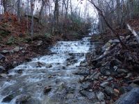 UNNAMED STREAM ON HWY 12 LEWIS COUNTY NORTHERN NEW YORK 10-18-2014_00015.JPG