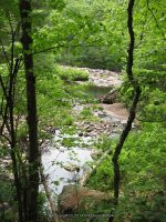 GLEASEMENS FALLS LEWIS NORTHERN NY 5-27-2010_00013.JPG