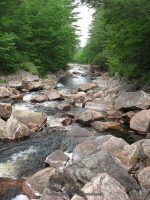 GLEASEMENS FALLS LEWIS NORTHERN NY 5-27-2010_00022.JPG