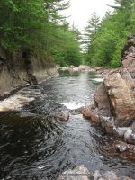 GLEASEMENS FALLS LEWIS NORTHERN NY 5-27-2010_00027.JPG