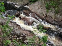 GLEASEMENS FALLS LEWIS NORTHERN NY 5-27-2010_00033.JPG