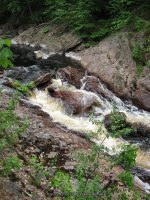 GLEASEMENS FALLS LEWIS NORTHERN NY 5-27-2010_00034.JPG