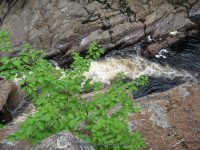 GLEASEMENS FALLS LEWIS NORTHERN NY 5-27-2010_00043.JPG