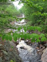 GLEASEMENS FALLS LEWIS NORTHERN NY 5-27-2010_00047.JPG