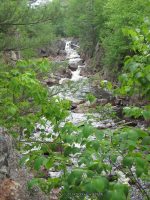 GLEASEMENS FALLS LEWIS NORTHERN NY 5-27-2010_00048.JPG