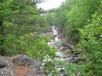 GLEASEMENS FALLS LEWIS NORTHERN NY 5-27-2010_00049.JPG
