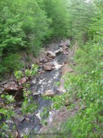 GLEASEMENS FALLS LEWIS NORTHERN NY 5-27-2010_00052.JPG