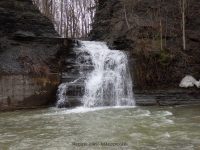 Tannery Falls Erie County Western New York 4-13-2014_00009.JPG