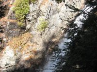 HANGING SPEAR 10-15-2008_00009.JPG
