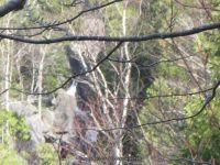 HANGING SPEAR 10-15-2008_00022.JPG