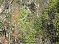 HANGING SPEAR 10-15-2008_00024.JPG