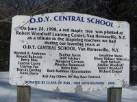 2-TRAILHEAD 3-6-2010_00003.JPG