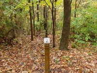 2-TRAILHEAD 10-2-2014_00005.JPG