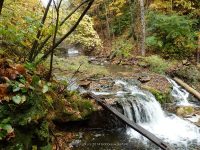 3A-BETWEEN SAW MILL AND CHEESE BOX 10-2-2014_00004.JPG