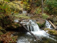 3A-BETWEEN SAW MILL AND CHEESE BOX 10-2-2014_00005.JPG