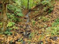 3A-BETWEEN SAW MILL AND CHEESE BOX 10-2-2014_00007.JPG