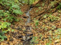 3A-BETWEEN SAW MILL AND CHEESE BOX 10-2-2014_00008.JPG