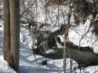 3A-SAW MILL-CHEESE BOX 3-6-2010_00001.JPG