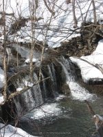 3A-SAW MILL-CHEESE BOX 3-6-2010_00002.JPG