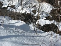 3A-SAW MILL-CHEESE BOX 3-6-2010_00003.JPG