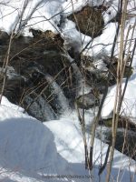 3A-SAW MILL-CHEESE BOX 3-6-2010_00004.JPG