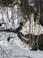 3-SAW MILL SITE 3-6-2010_00001.JPG