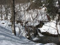 3-SAW MILL SITE 3-6-2010_00002.JPG