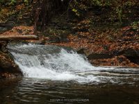 3-SAW MILL SITE 10-2-2014_00004.JPG
