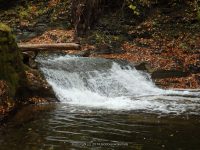 3-SAW MILL SITE 10-2-2014_00005.JPG