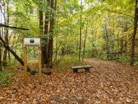 3-SAW MILL SITE 10-2-2014_00007.JPG