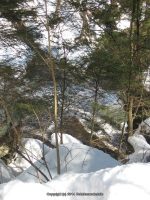 7-CREAMERY FALLS 3-6-2010_00002.JPG