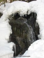 7-CREAMERY FALLS 3-6-2010_00005.JPG