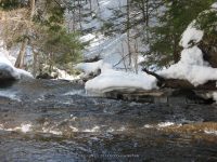 7-CREAMERY FALLS 3-6-2010_00009.JPG