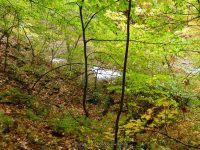 7-CREAMERY FALLS 10-2-2014_00001.JPG