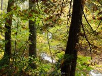 7-CREAMERY FALLS 10-2-2014_00002.JPG