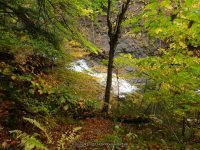 7-CREAMERY FALLS 10-2-2014_00004.JPG