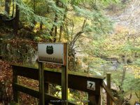 7-CREAMERY FALLS 10-2-2014_00008.JPG