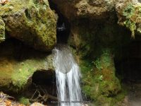 7-CREAMERY FALLS 10-2-2014_00017.JPG