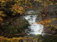 9-DAVES LOOKOUT 10-2-2014_00008.JPG