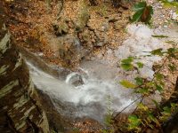 9-DAVES LOOKOUT 10-2-2014_00013.JPG