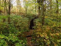 9-DAVES LOOKOUT 10-2-2014_00031.JPG