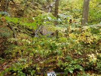 10-KELLY FALLS 10-2-2014_00004.JPG