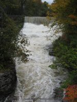 BURRVILLE JEFFERSON NORTHERN NY 10-01-2010_00002.JPG