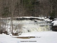 TIMMERMAN 1 MONTGOMERY NY 3-17-2011_00003.JPG