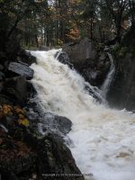 JENNY LOWER ST LAWRENCE NORTHERN NY 10-07-2010_00003.JPG